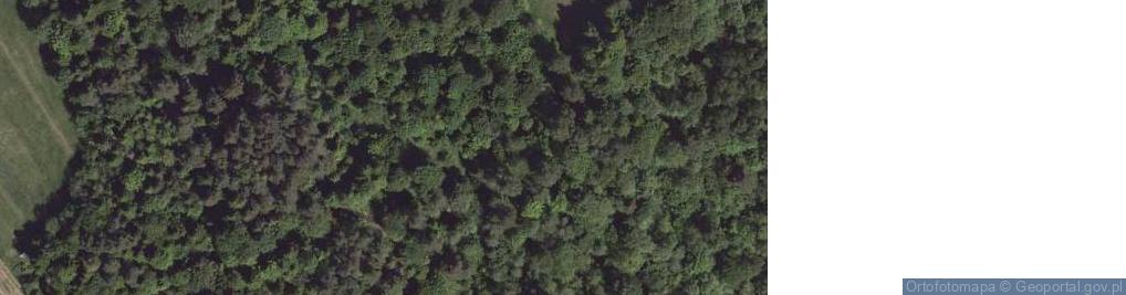 Zdjęcie satelitarne Wołczy Garb (Wołczy Horb)