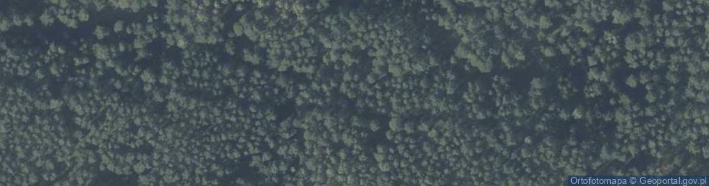 Zdjęcie satelitarne Wysockie