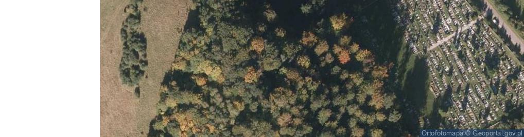 Zdjęcie satelitarne Wzgórze Wawel