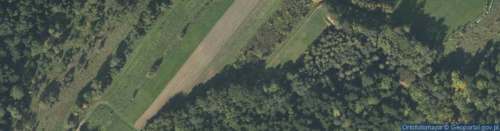 Zdjęcie satelitarne Zamczysko