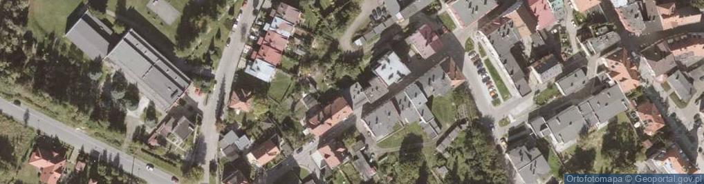 Zdjęcie satelitarne RONI -Telewizja cyfrowa, Internet