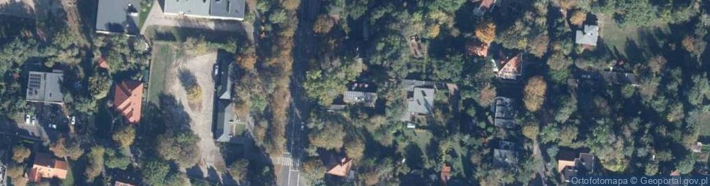 Zdjęcie satelitarne Tłumacz Przysięgły J Niderlandzkiego