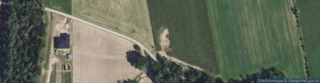 Zdjęcie satelitarne nr 12965