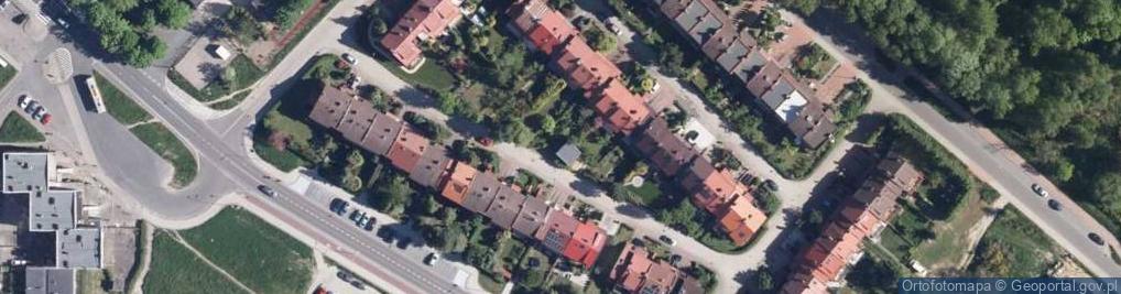 Zdjęcie satelitarne nr 3561