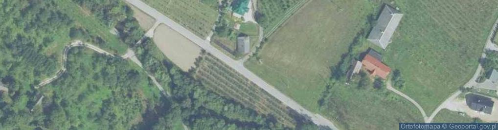 Zdjęcie satelitarne nr 7427