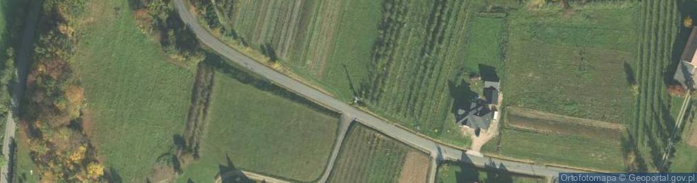 Zdjęcie satelitarne nr S-2146