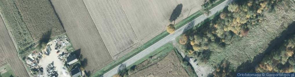 Zdjęcie satelitarne nr S-365