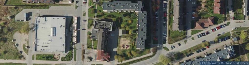 Zdjęcie satelitarne nr T-1271