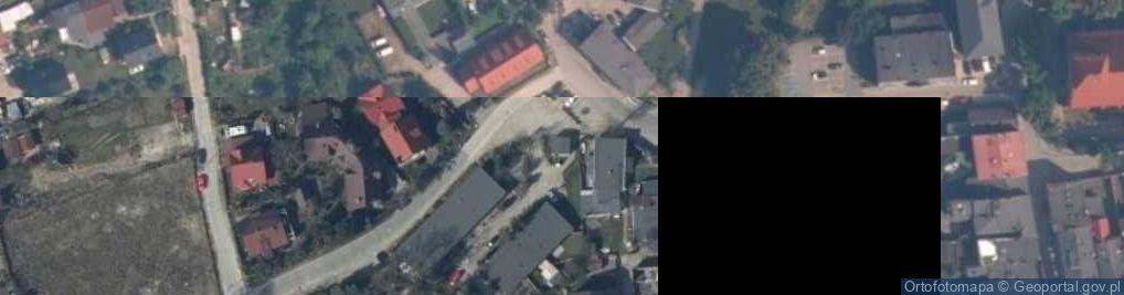 Zdjęcie satelitarne nr T-9834