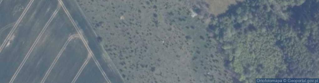 Zdjęcie satelitarne Trafostacja