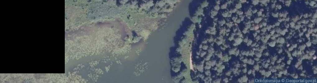 Zdjęcie satelitarne Jezioro Krzywe - Kanał Augustowski
