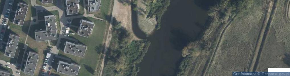 Zdjęcie satelitarne Ujście rz. Junikowski Strumień do rz. Warta