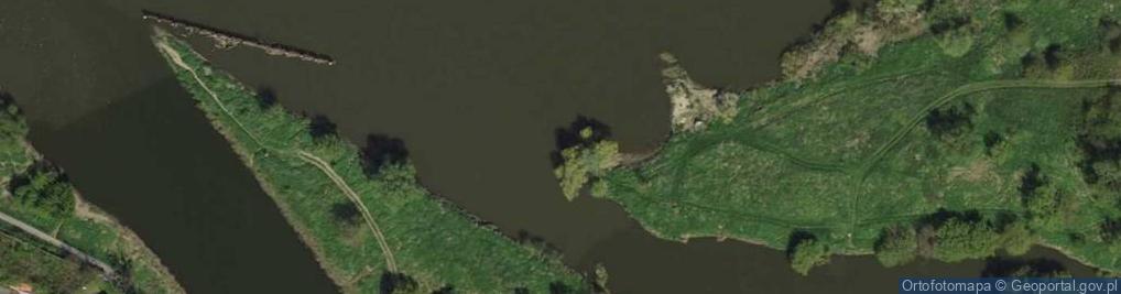 Zdjęcie satelitarne Ujście rz. Kanał Młyński do rz. Odra