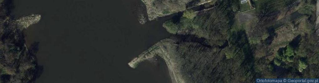 Zdjęcie satelitarne Ujście rz. Krzyski Rów do rz. Odra