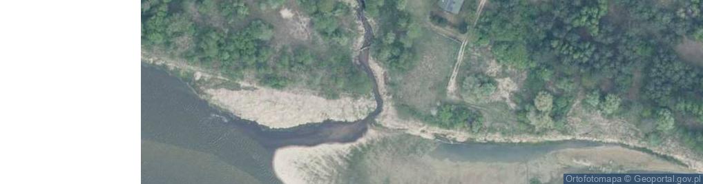 Zdjęcie satelitarne Ujście rz. Moszczona do rz. Bug