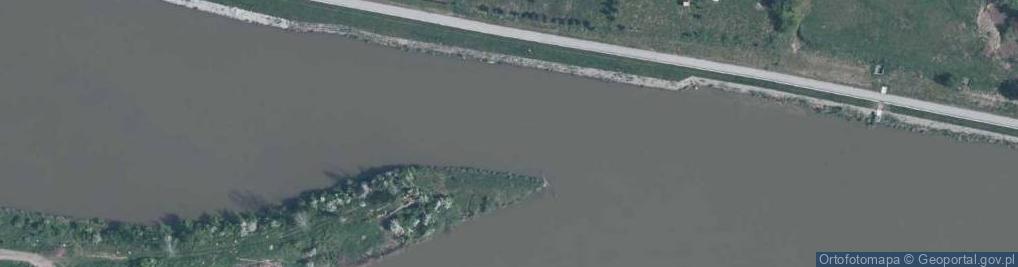 Zdjęcie satelitarne Ujście rz. Odra do rz. Kanał Odry [P231
