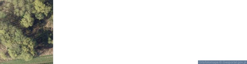 Zdjęcie satelitarne Ujście rz. Wiślina do rz. Wisła