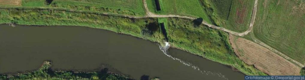 Zdjęcie satelitarne Ujście rz. Wiślisko do rz. Wisła
