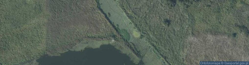 Zdjęcie satelitarne Ujście wód Zatoki Bryneckiej do rz. Brynecki Nurt