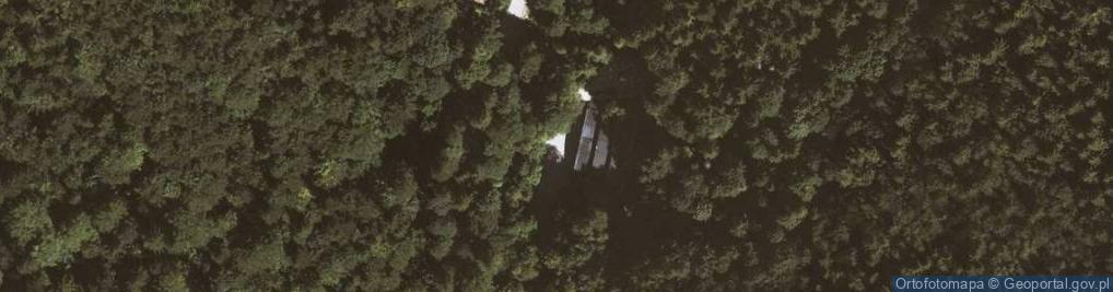 Zdjęcie satelitarne Jaskinia Niedźwiedzia