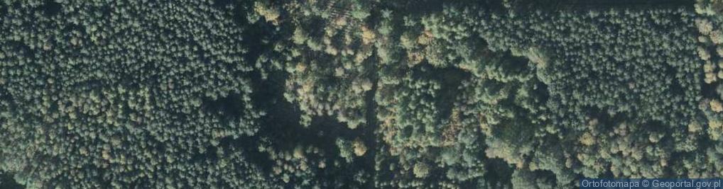Zdjęcie satelitarne Uroczysko Bór