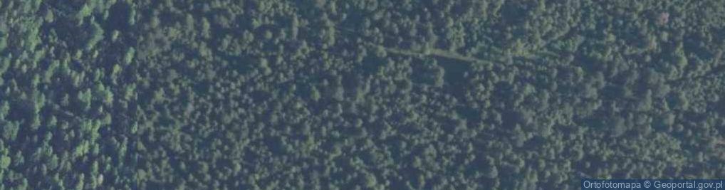 Zdjęcie satelitarne Uroczysko Brzezie
