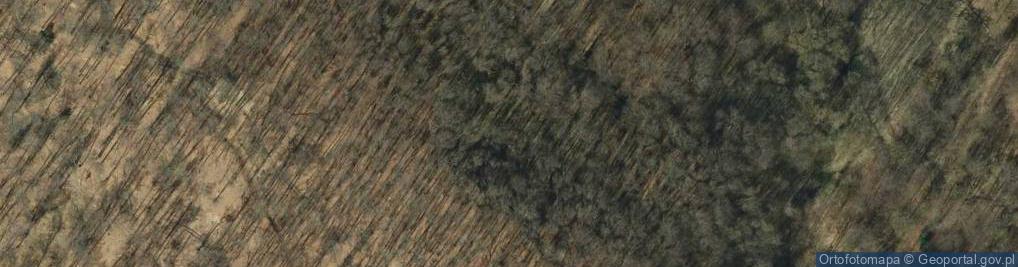 Zdjęcie satelitarne Uroczysko Buchanie