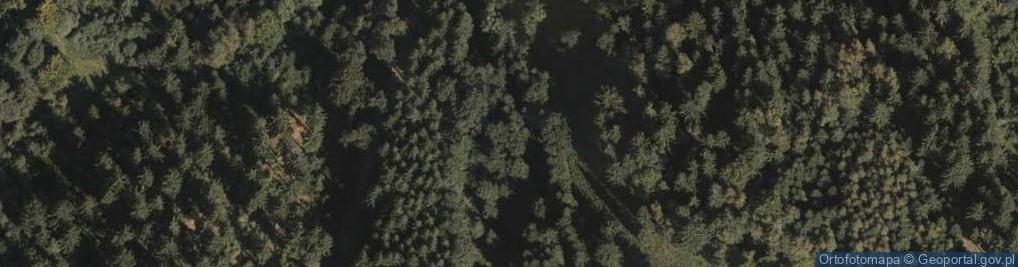 Zdjęcie satelitarne Uroczysko Dołek