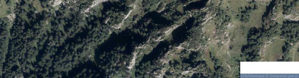 Zdjęcie satelitarne Uroczysko Dziad