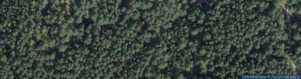Zdjęcie satelitarne Uroczysko Góra Żymierskiego