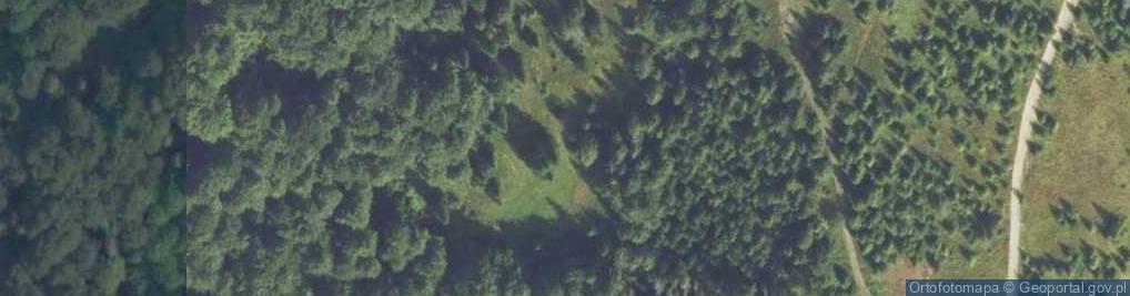 Zdjęcie satelitarne Uroczysko Hala Podgorcowe