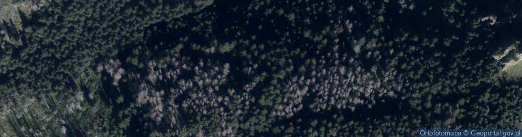 Zdjęcie satelitarne Uroczysko Kobyla Głowa