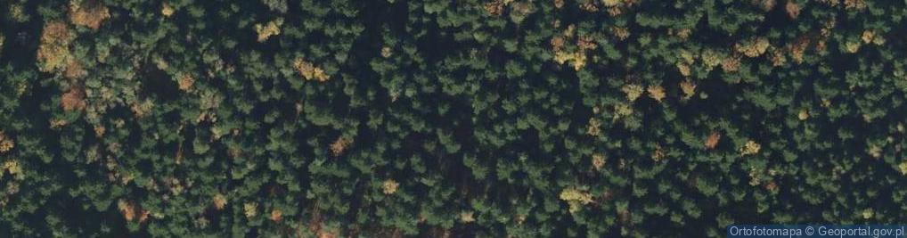 Zdjęcie satelitarne Uroczysko Księży Las
