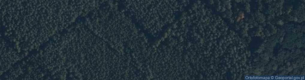 Zdjęcie satelitarne Uroczysko Las Płoszcz