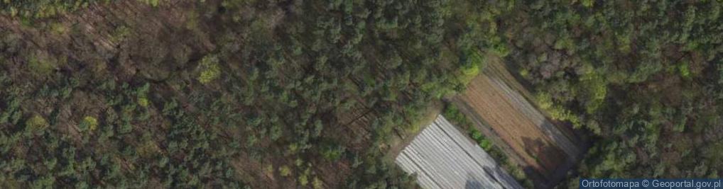 Zdjęcie satelitarne Uroczysko Lućmierz — Las
