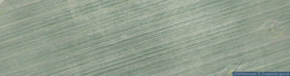 Zdjęcie satelitarne Uroczysko Obcy Bór