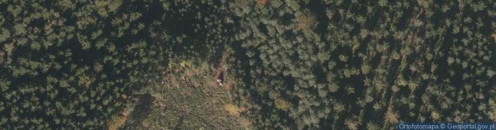 Zdjęcie satelitarne Uroczysko Srebrny Las