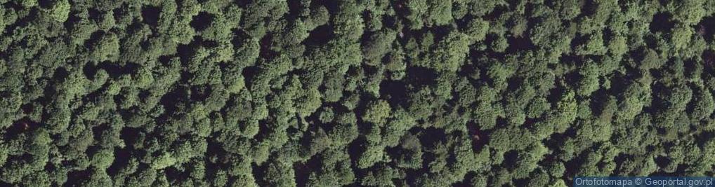 Zdjęcie satelitarne Uroczysko Zatwarnica