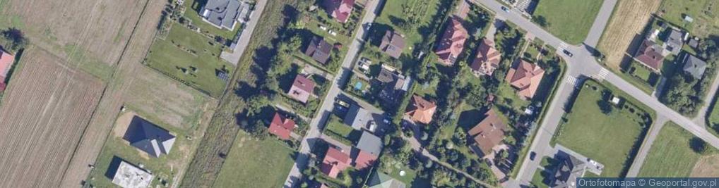 Zdjęcie satelitarne Busy do Anglii ErgoBus.eu