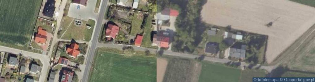Zdjęcie satelitarne Usługi weterynaryjne