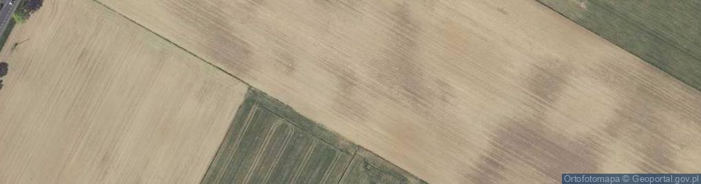 Zdjęcie satelitarne Węzeł 42 Strzeszkowice