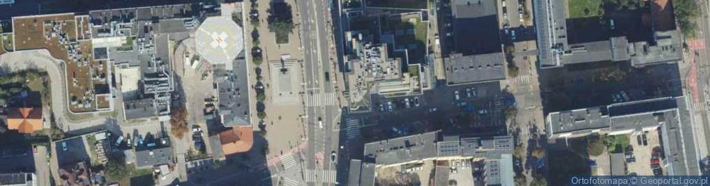 Zdjęcie satelitarne V.Vinifera