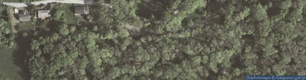 Zdjęcie satelitarne Fort "Rajsko"