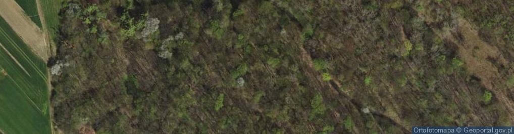 Zdjęcie satelitarne Park "Szkała"