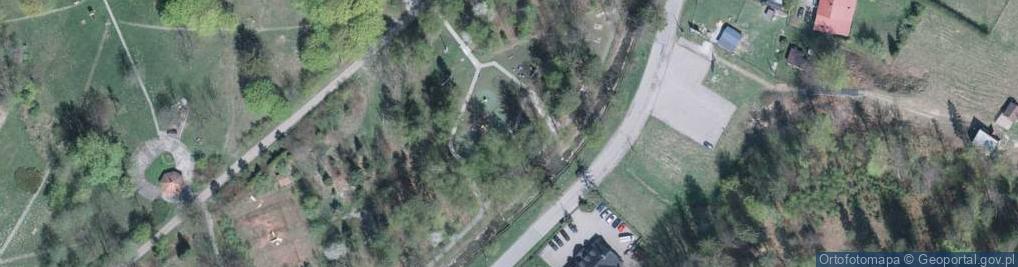 Zdjęcie satelitarne Wyciąg Mała Palenica