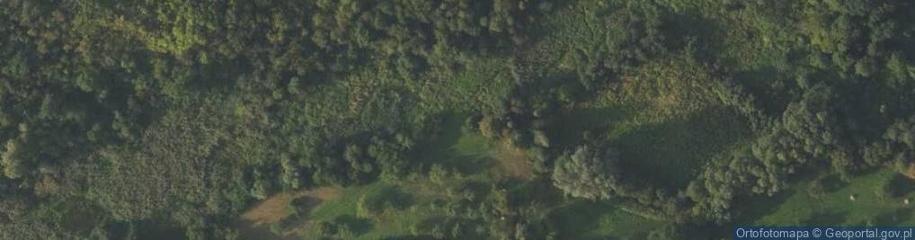 Zdjęcie satelitarne Ruiny młynu