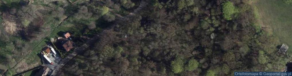 Zdjęcie satelitarne Stacje drogi krzyżowej na Kalwarii Pszowskiej
