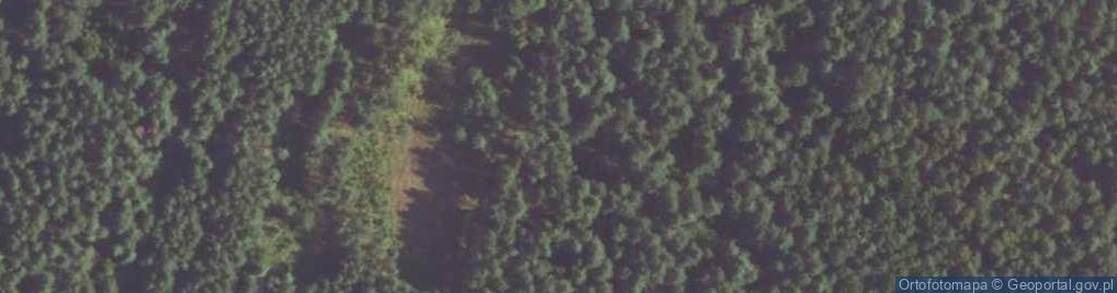 Zdjęcie satelitarne Zanocuj w lesie