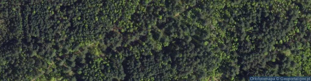 Zdjęcie satelitarne Zanocuj w lesie