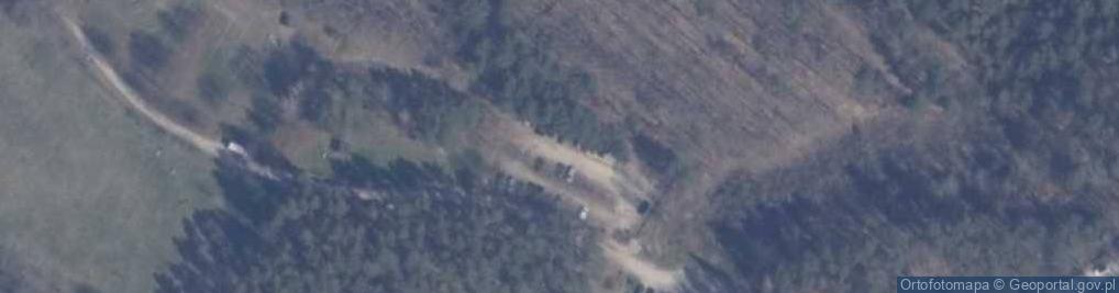 Zdjęcie satelitarne Zanocuj w lesie